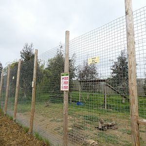 Cheetah enclosure (2)