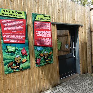 Invertebrate house entrance