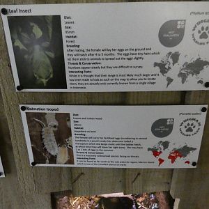 Invertebrate house signage
