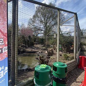Centre aviary 190422