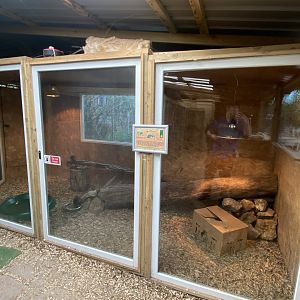 Australian water rat exhibit 190422