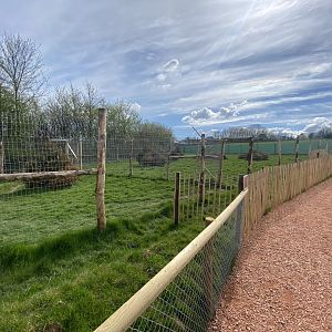 Maned wolf enclosure 190422
