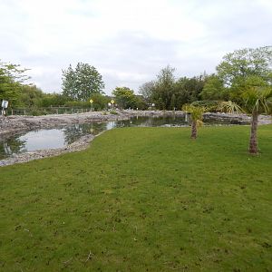 Hawaiian exhibit 290422