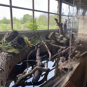 Water vole exhibit 290422