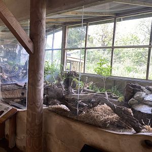 Water vole exhibit 290422