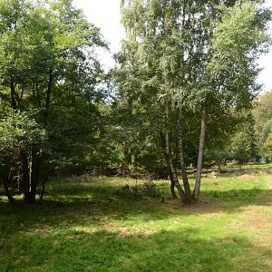 European elk enclosure