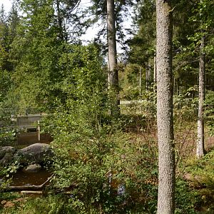 European otter enclosure