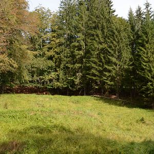 European elk enclosure