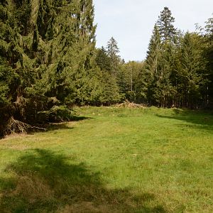 European elk enclosure