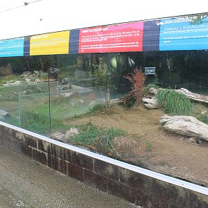 Tuatarium, Invercargill