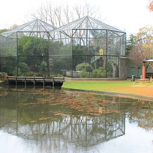 View of Walk-through Aviary