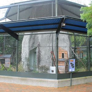 Kaka aviary