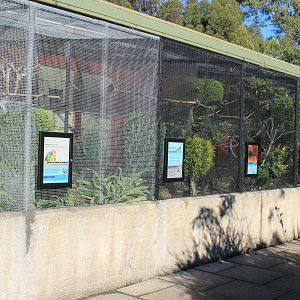 Aviaries