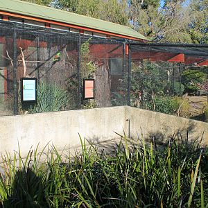 Aviaries