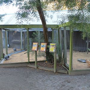 Aviaries for domestic fowl