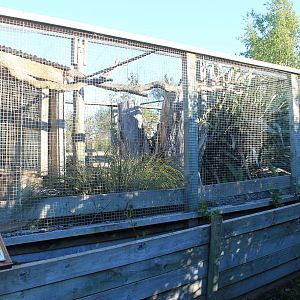 Aviary for Rooks (Corvus frugilegus)