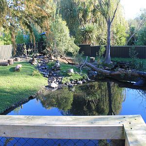 Small-clawed Otter enclosure