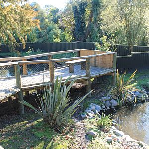 Other side of Capybara enclosure