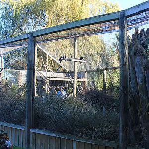 walk-through aviary