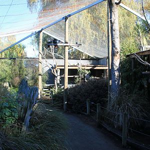Walk-through aviary