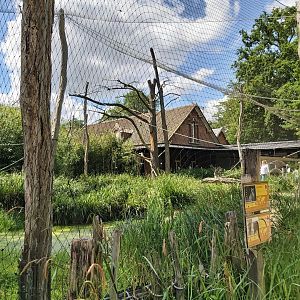 Ring-tailed lemur and black lemur enclosure