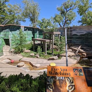 Malayan tiger habitat