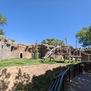 Western Lowland Gorilla habitat