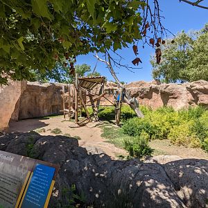 Sumatran orangutan habitat