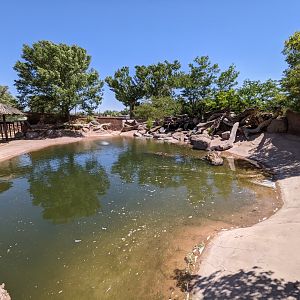 Hippo habitat