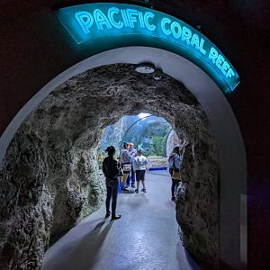 Pacific coral reef tunnel entrance