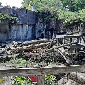 Sun/Sloth/Andean Bear Grotto 1