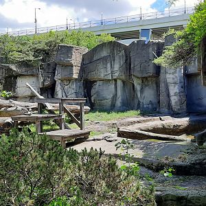 Sun/Sloth/Andean Bear Grotto 2