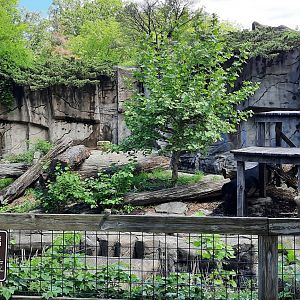 Sun/Sloth/Andean Bear Grotto 3