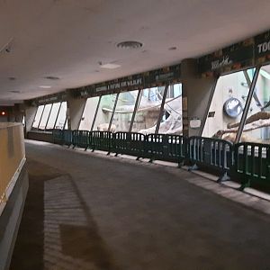 Indoor Gorilla Exhibits