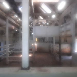 Indoor Rhino Viewing