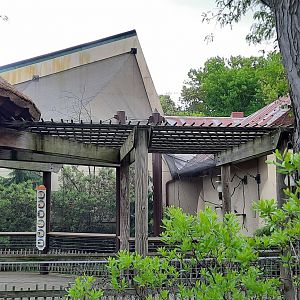 African Elephant Crossing Aviary