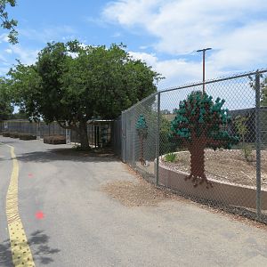 General View of Path