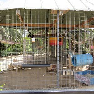 Example Primate Enclosure