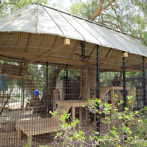 Example Primate Enclosure