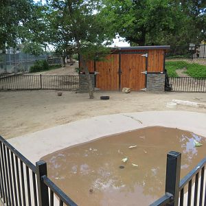 Galapagos Tortoise Exhibit