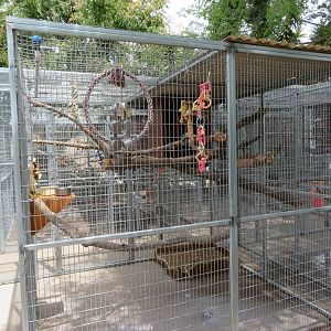 Example Parrot Cage