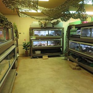 Reptile House (One Room)