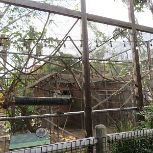 Example Primate Exhibit