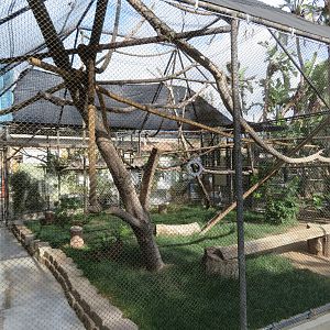 Example Primate Exhibit