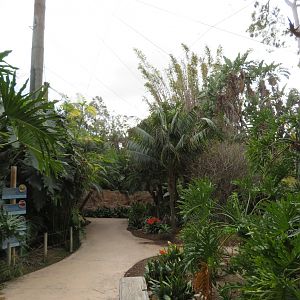 Walk-through Aviary