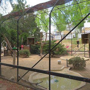 Blue Crane/Turaco Aviary