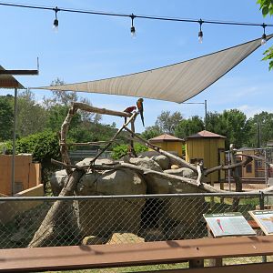 Open-topped Macaw Exhibit