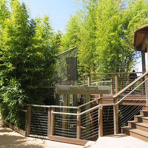 Asian Habitats and Bamboo