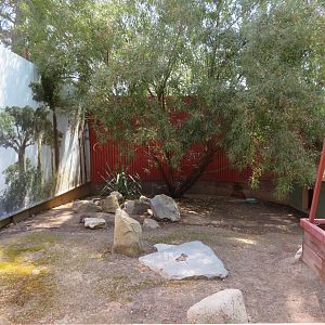 Radiated Tortoise Yard