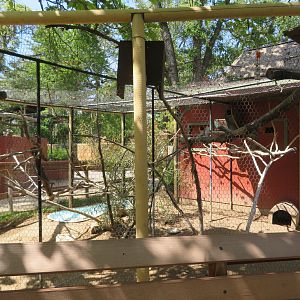 Partridge/Vasa Parrot Aviary